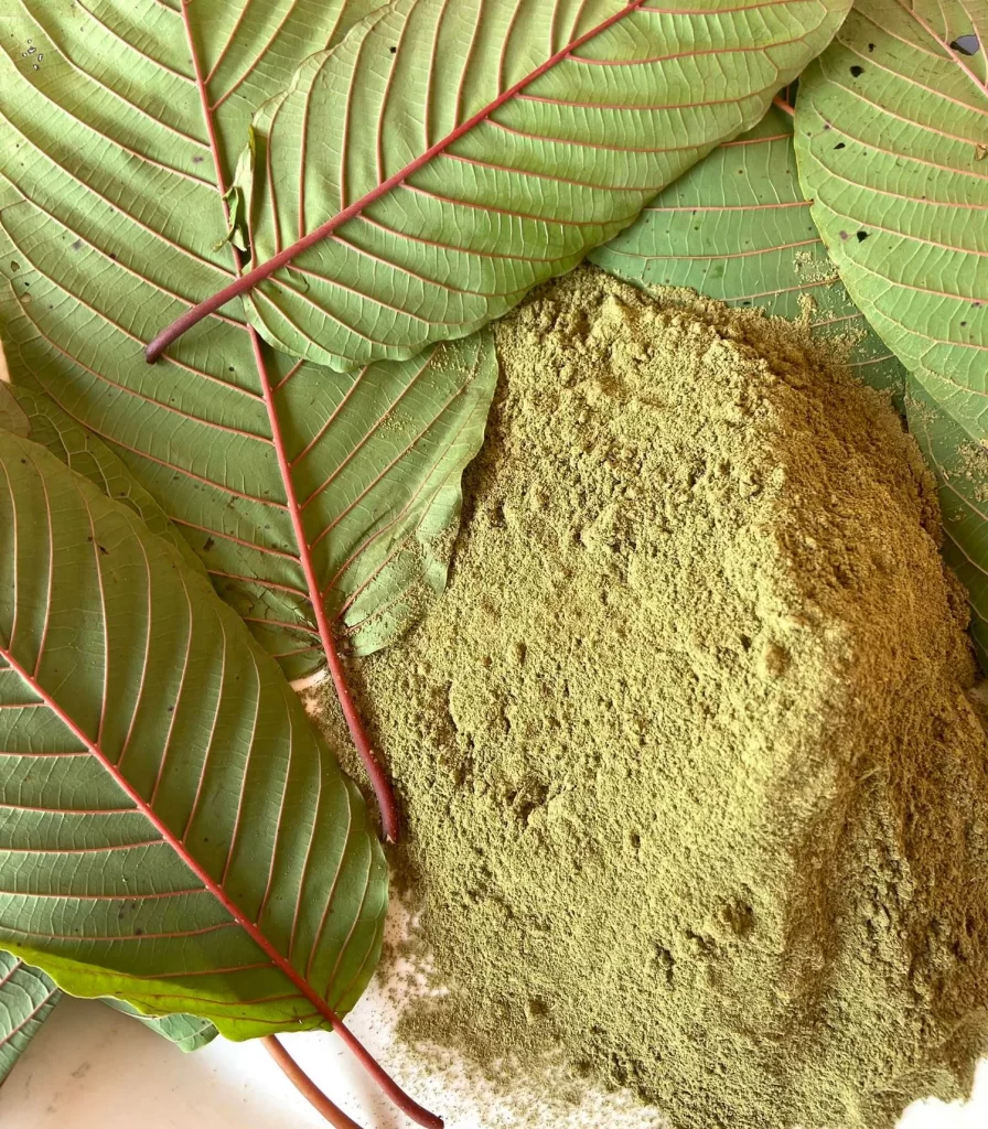 Benefits of Using Kratom Capsules for Natural Pain Relief